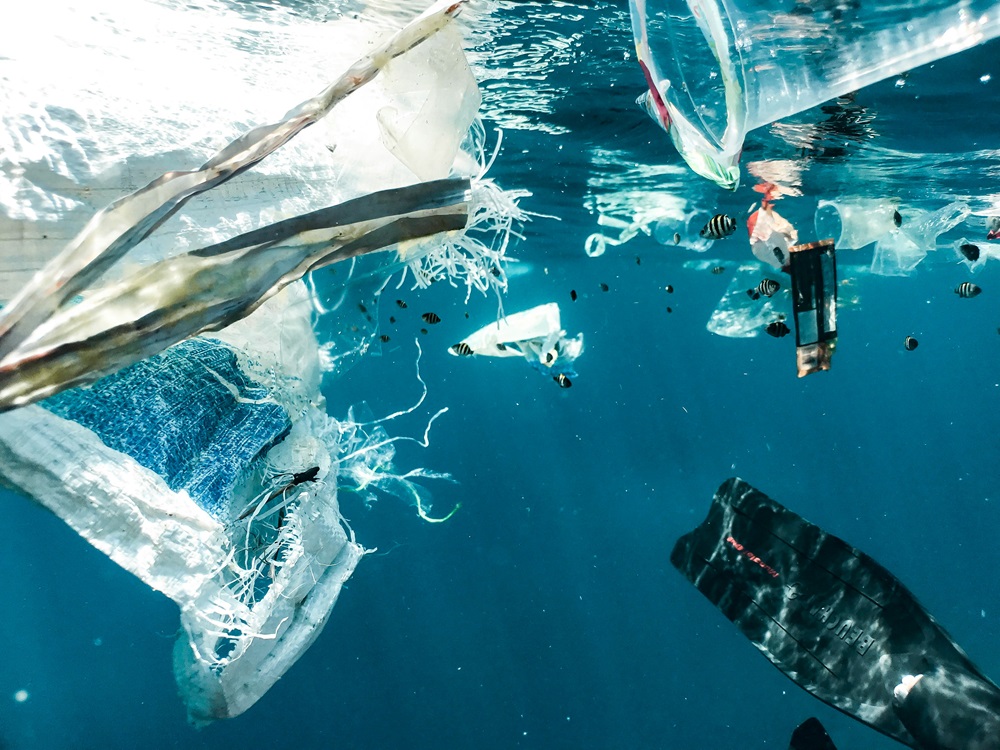 plastic bottles pollute the ocean and the waters